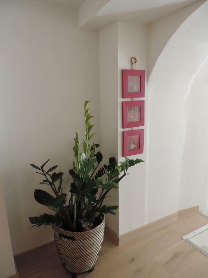 Apartmán Le Logis De La Fontaine Ceyreste Exteriér fotografie